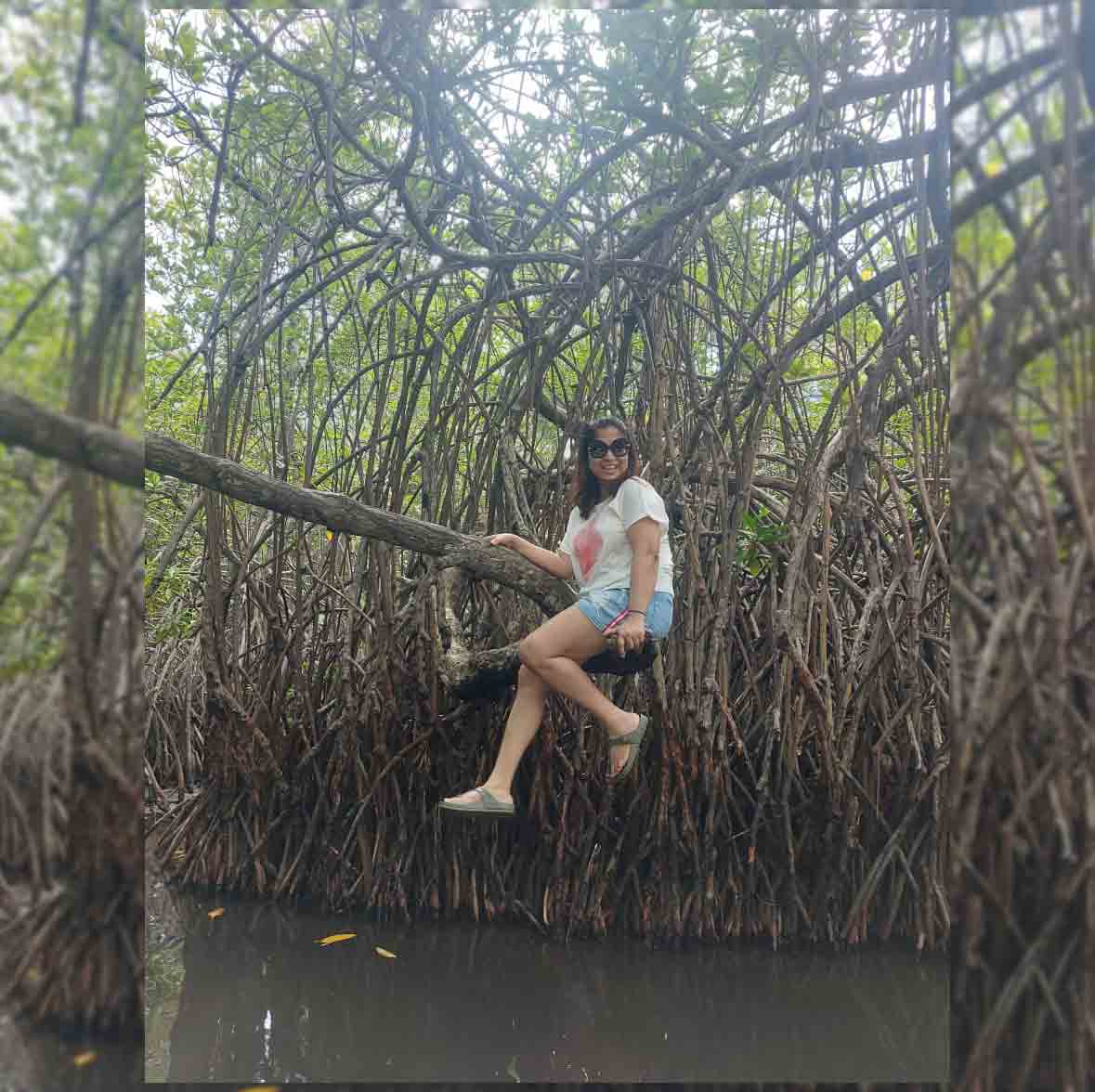 The Eden Tours